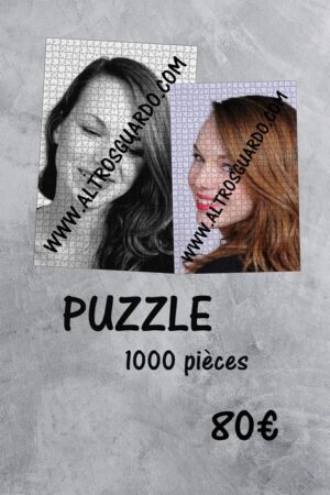 Collège Paul Féval - Puzzle 1000pièces